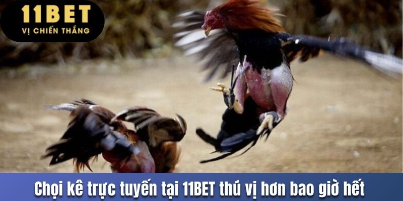 Chọi kê trực tuyến tại 11BET thú vị hơn bao giờ hết 